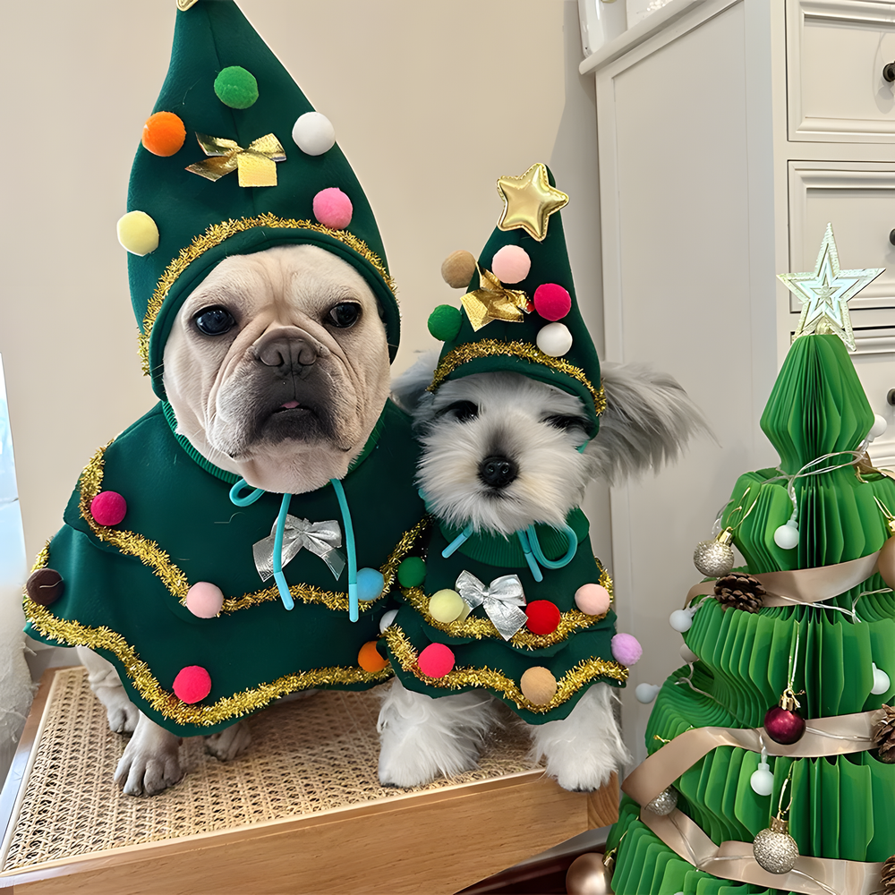 Set di Natale albero per animali