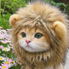 Costume crinière de lion pour chien et chat