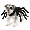 Costume ragno Halloween per animale