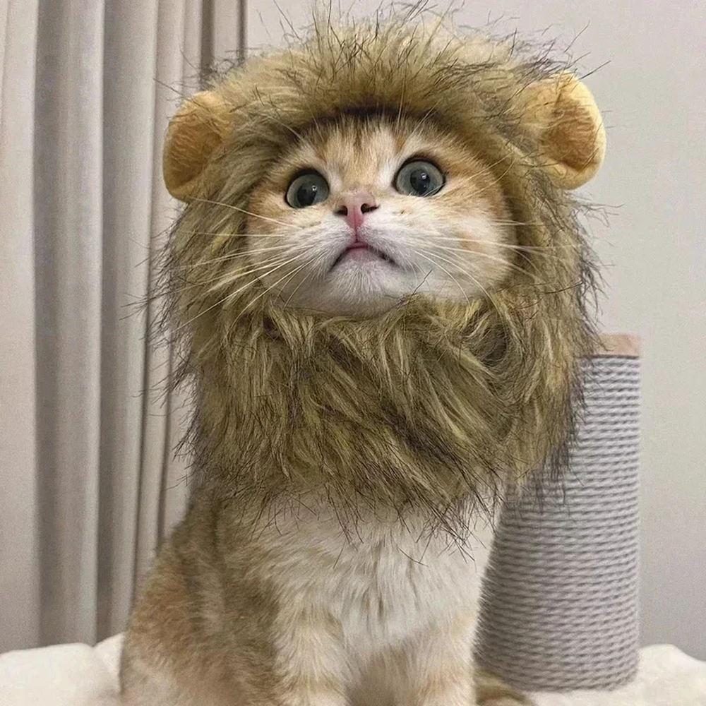 Costume crinière de lion pour chien et chat