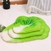 Tapis en peluche en forme d'aliment pour animaux