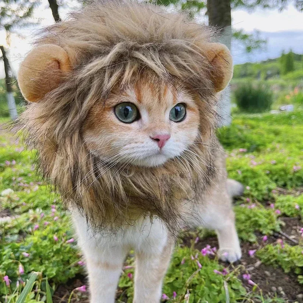 Costume crinière de lion pour chien et chat