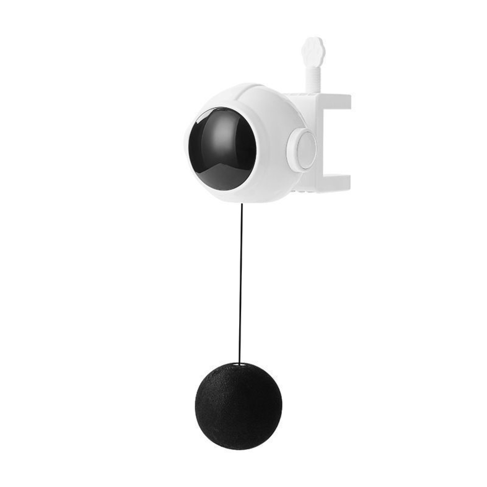 Gioco per gatti con pallina sospesa e pinza