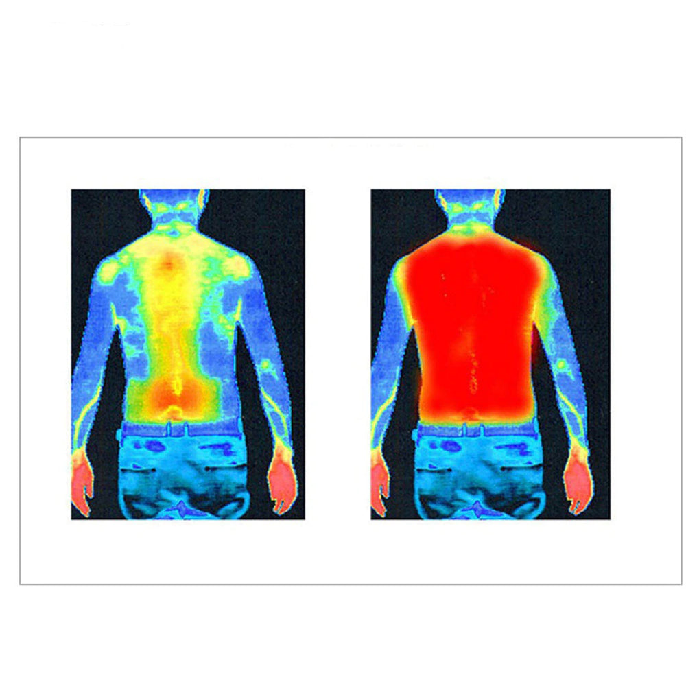 Heated vest