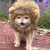 Costume crinière de lion pour chien et chat