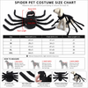 Costume ragno Halloween per animale