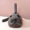 Sac à main transporteur pour chat