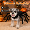 Costume ragno Halloween per animale