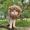 Costume crinière de lion pour chien et chat