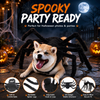 Costume ragno Halloween per animale