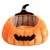 Cuccia zucca per gatti