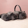 Sac à main transporteur pour chat