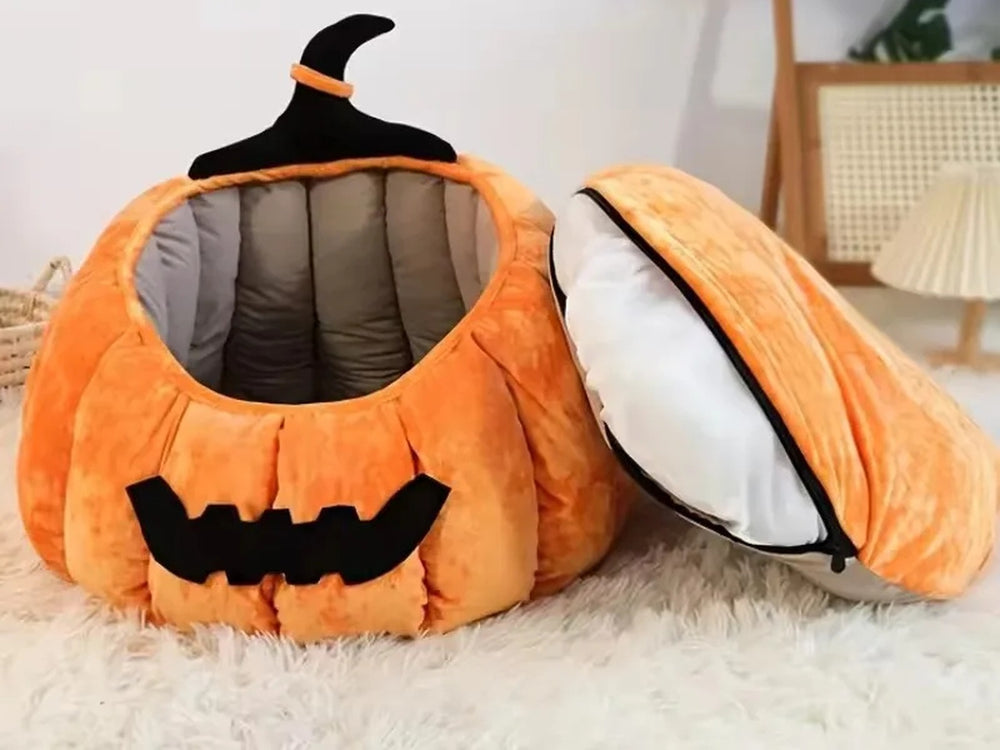 Cuccia zucca per gatti