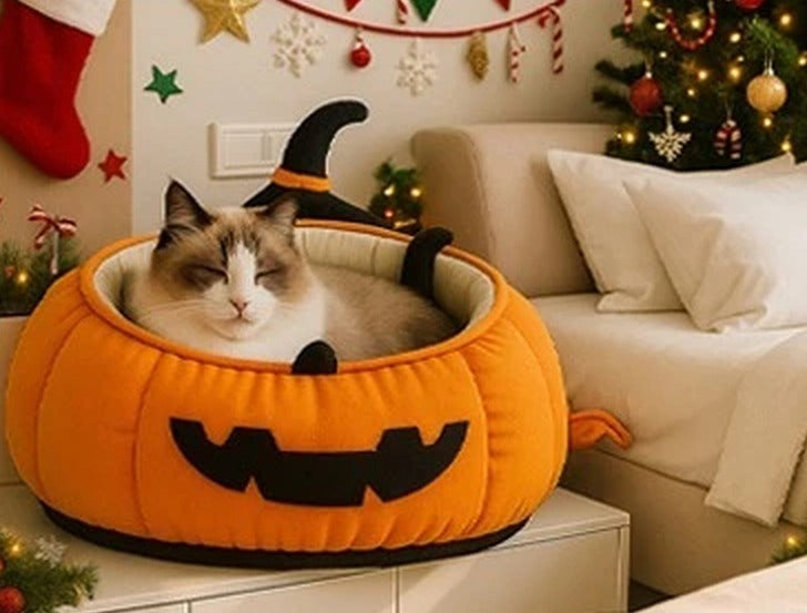 Cuccia zucca per gatti