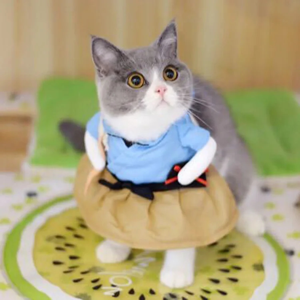 Costume d'Halloween pour animal