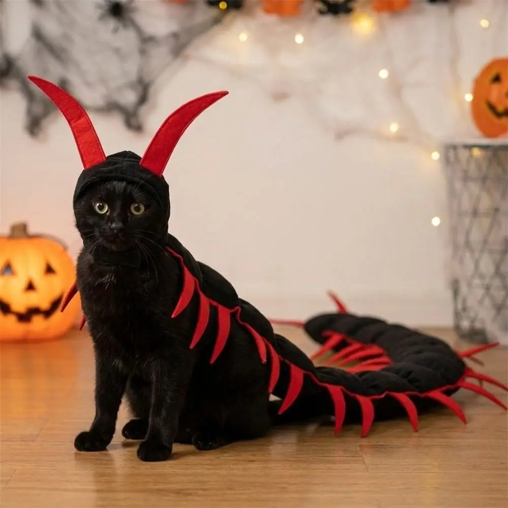 Costume mille-pattes d'Halloween pour chat