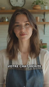 Vidéo : Maison cadeau de Noël pour chat